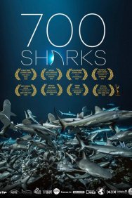 Смотреть 700 акул онлайн в HD качестве 720p
