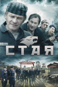 Смотреть Стая онлайн в HD качестве 720p