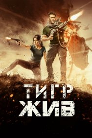 Смотреть Тигр жив онлайн в HD качестве 720p