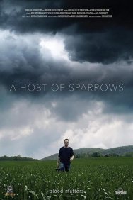 Смотреть A Host of Sparrows онлайн в HD качестве 720p