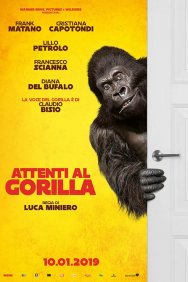 Смотреть Attenti al gorilla онлайн в HD качестве 720p