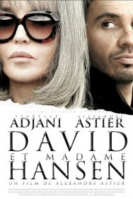 Смотреть Давид и мадам Ансен онлайн в HD качестве 720p
