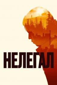 Смотреть Нелегал онлайн в HD качестве 720p