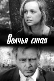 Смотреть Волчья стая онлайн в HD качестве 720p