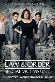 Смотреть Закон и порядок. Специальный корпус онлайн в HD качестве 720p