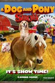 Смотреть A Dog & Pony Show онлайн в HD качестве 720p