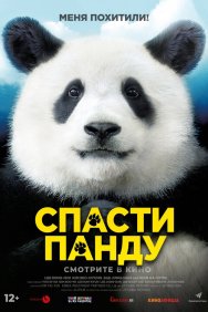Смотреть Спасти панду онлайн в HD качестве 720p