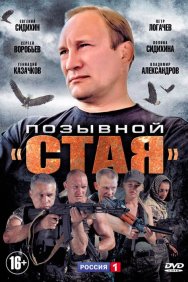 Смотреть Позывной «Стая» онлайн в HD качестве 720p