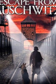 Смотреть Побег из Освенцима онлайн в HD качестве 720p