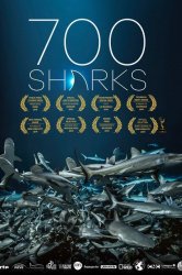 Смотреть 700 акул онлайн в HD качестве 720p