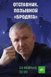 Смотреть Отставник. Позывной «бродяга» онлайн в HD качестве 720p