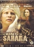 Смотреть Секрет Сахары онлайн в HD качестве 720p
