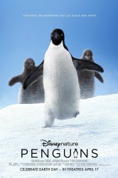 Смотреть Пингвины онлайн в HD качестве 720p