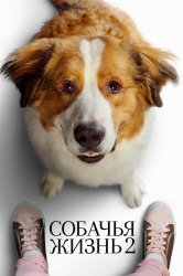 Смотреть Собачья жизнь 2 онлайн в HD качестве 720p
