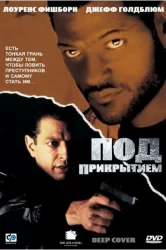 Смотреть Под прикрытием онлайн в HD качестве 720p