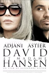 Смотреть Давид и мадам Ансен онлайн в HD качестве 720p