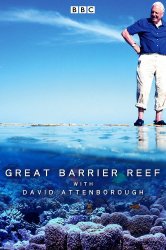 Смотреть Большой барьерный риф с Дэвидом Аттенборо онлайн в HD качестве 720p