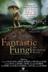 Смотреть Фантастические грибы онлайн в HD качестве 720p