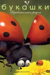 Смотреть Букашки онлайн в HD качестве 720p