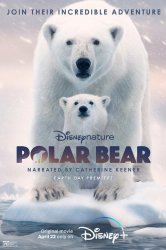 Смотреть Белая медведица онлайн в HD качестве 720p