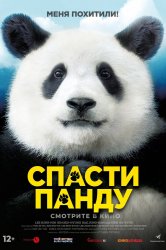 Смотреть Спасти панду онлайн в HD качестве 720p