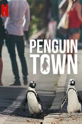 Смотреть Город пингвинов онлайн в HD качестве 720p