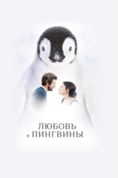 Смотреть Любовь и пингвины онлайн в HD качестве 720p