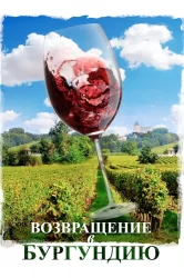 Смотреть Возвращение в Бургундию онлайн в HD качестве 720p