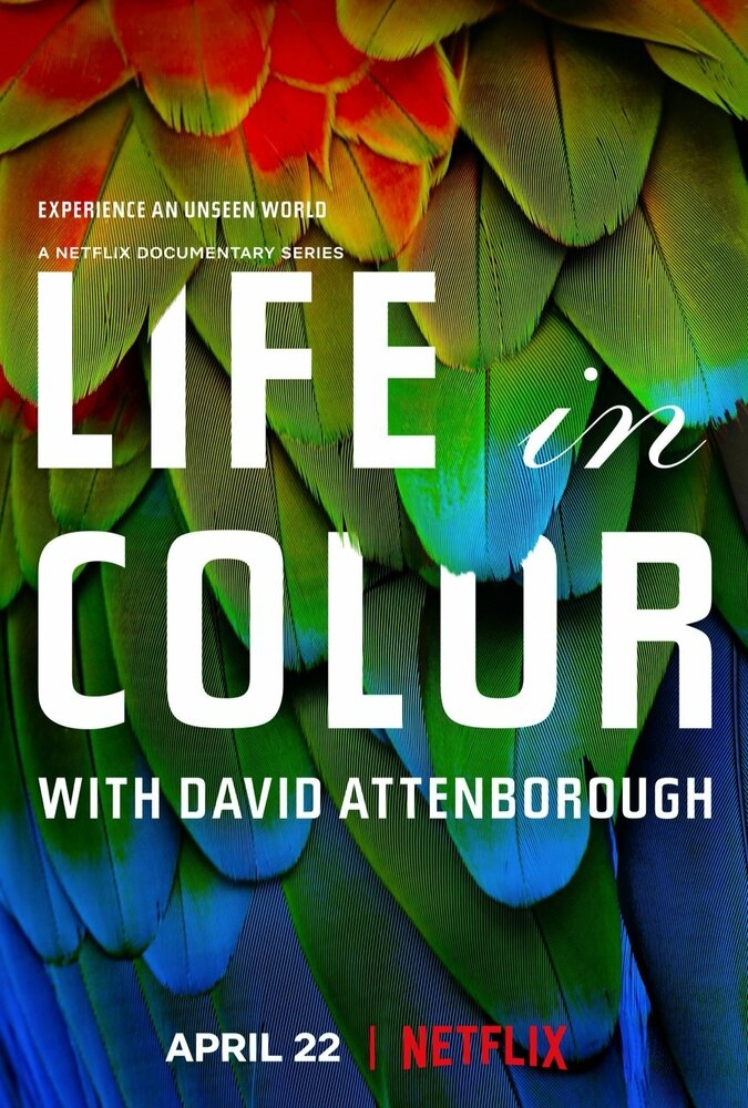 Смотреть Жизнь в цвете с Дэвидом Аттенборо онлайн в HD качестве 