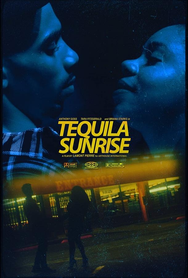 Смотреть Tequila Sunrise онлайн в HD качестве 