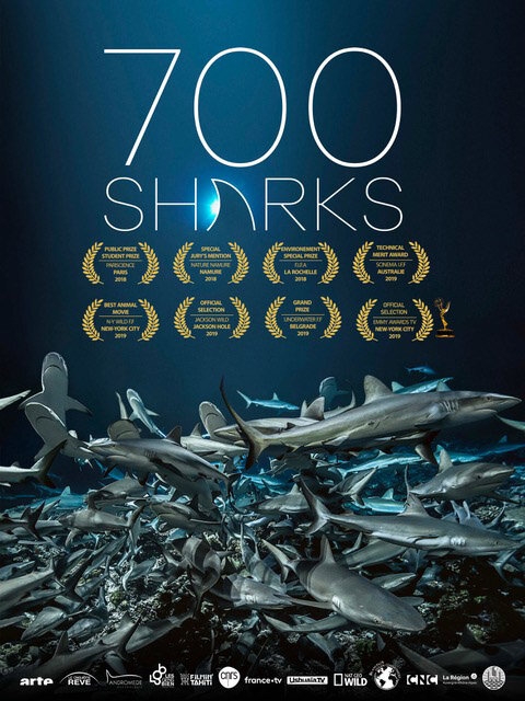 Смотреть 700 акул онлайн в HD качестве 