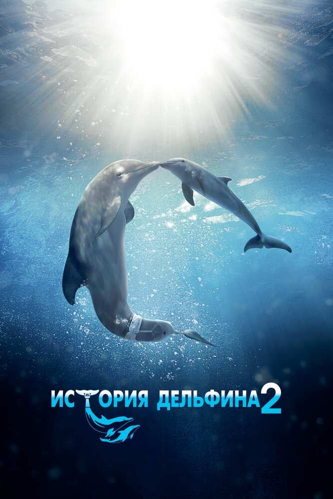 Смотреть История дельфина 2 онлайн в HD качестве 
